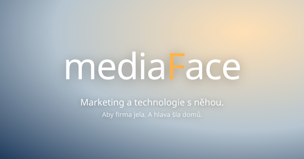 MediaFace website preview